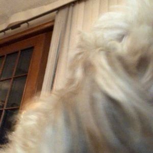 Meet your Posher, Linda